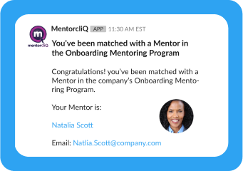 connect with mentors