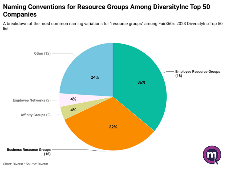 DiverstyInc Top 50 ERG Report Data Visualizations copy