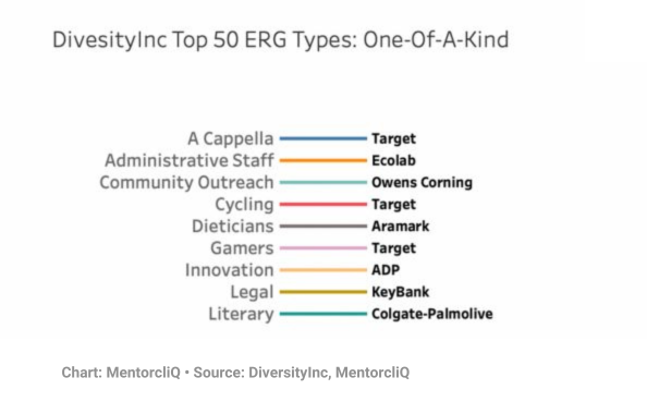 DiversityInc Top 50 ERG Types